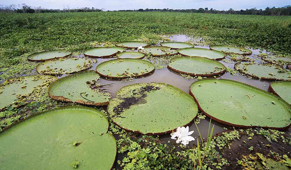 lagoon-trip-peru