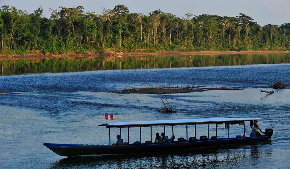 The-Jungle-and-the-Amazon-rainforest-in-Peru-Trip-Peru